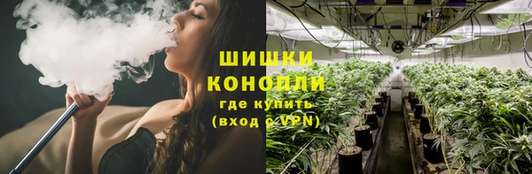стаф Абдулино