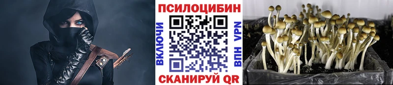 kraken как зайти Братск Псилоцибиновые грибы ЛСД
