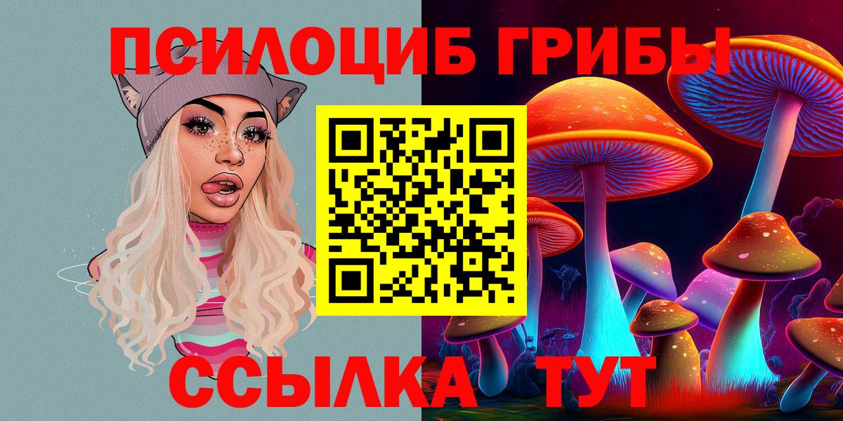 Псилоцибиновые грибы мицелий Братск