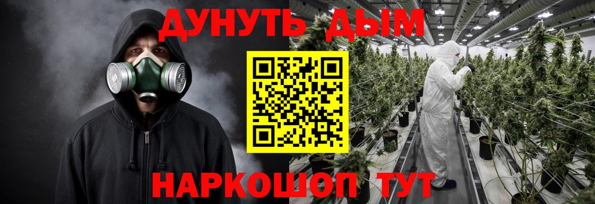 Канабис семена Братск